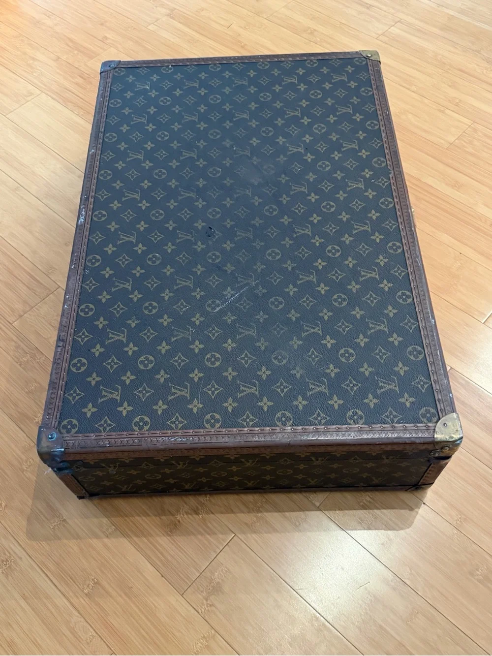 Louis Vuitton authentic louis